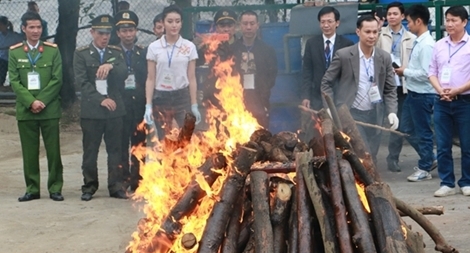 30 tháng hành động chống nạn buôn bán ngà voi, sừng tê giác