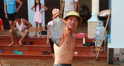 Dân vùng lụt Hà Nội bắt cá trong sân nhà