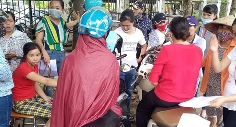 Cần hài hòa giữa lý và tình