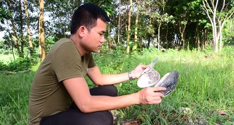 Tỷ phú 9X hái ra tiền nhờ nghề "độc"