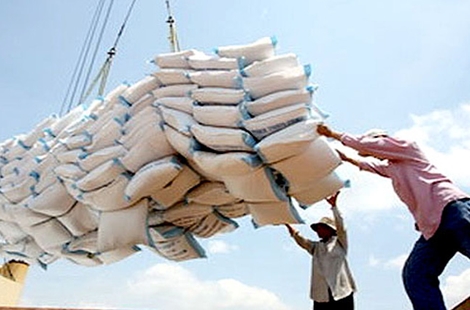 Nâng cao chất lượng gạo mới mong chiếm lĩnh được thị trường