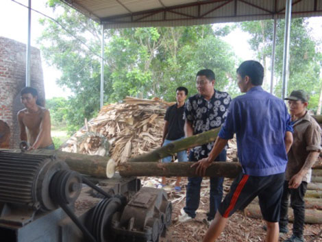 Hoàn lương, trở thành Giám đốc doanh nghiệp
