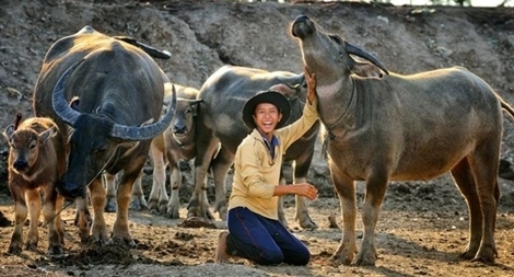 Nghệ sĩ điện ảnh Việt kiều: Tìm mình trong văn hóa dân tộc