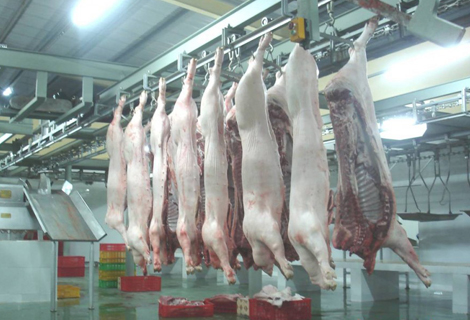 Các điều kiện về địa điểm cơ sở giết mổ gia súc, gia cầm