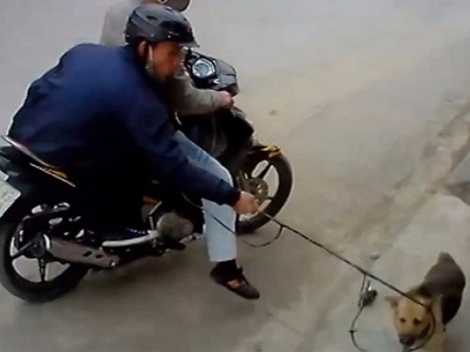 Trộm chó,  một đối tượng bị thanh niên làng đánh tử vong