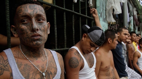 Mỹ truy quét 5 băng nhóm tội phạm xuyên quốc gia