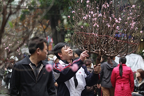 Hồn xuân nơi chợ hoa phố cổ