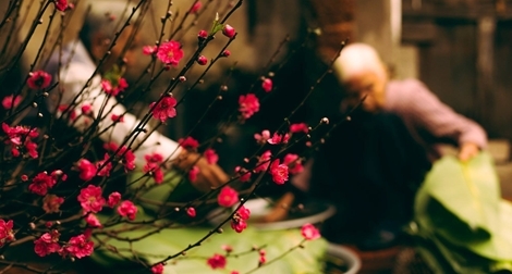 Vẫn nôn nao đợi chờ Tết