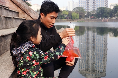 Người dân Thủ đô thả cá vàng sớm tiễn ông Táo về trời
