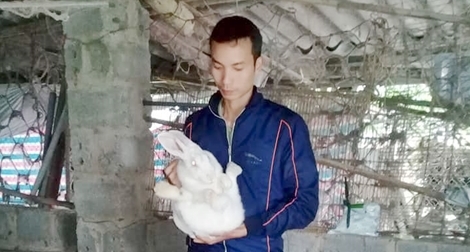 Chàng trai 9X làm giàu nhờ mô hình nuôi thỏ New Zealand