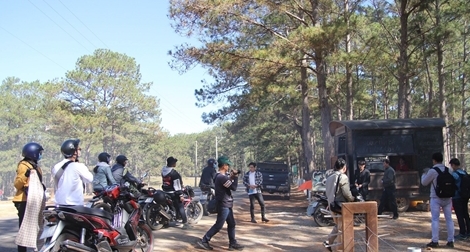 Lập tour "chui", thu tiền trái phép điểm du lịch "Cây thông cô đơn"