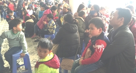 Cảnh giác nhiễm sán từ “thú cưng”