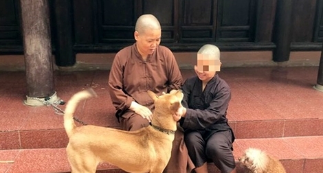 Làm rõ sự thật thông tin cháu bé bị đánh trong chùa