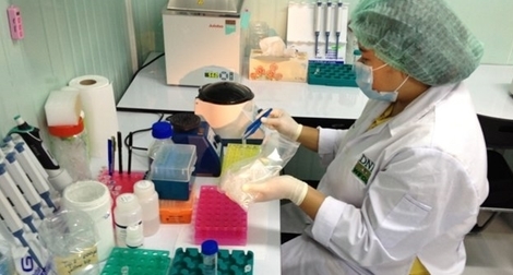 Công nghệ ADN chống tội phạm đời sống hoang dã