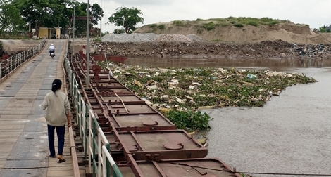 Vướng mắc trong xử lý dịch tả lợn châu Phi tại Hải Phòng