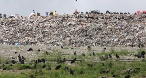 Mafia rác ở Venezuela