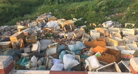 Nhiều dòng kênh đã ô nhiễm, tiếp tục bị “bức tử”