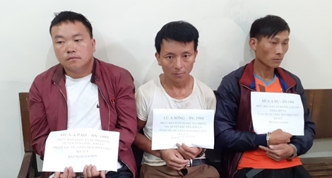 Khám phá vụ vận chuyển 20 bánh heroin