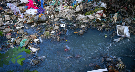 Làm sạch sông Tô Lịch: Khi ô nhiễm đang được xử lý ở “ngọn”