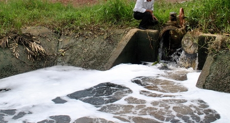 Doanh nghiệp chế biến hải sản xả thải gây ô nhiễm môi trường