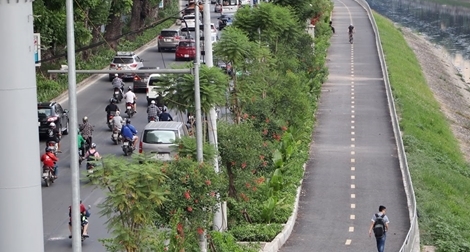 Đường Láng "lột xác" thành Singapore giữa lòng Hà Nội