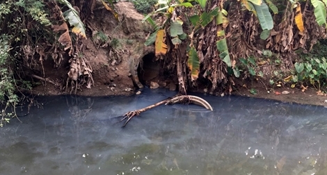 Nguồn nước sinh hoạt của TP Hải Phòng ô nhiễm trầm trọng