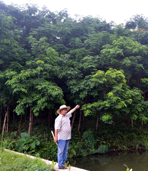 “Người về từ cõi chết” với khát vọng trồng rừng 