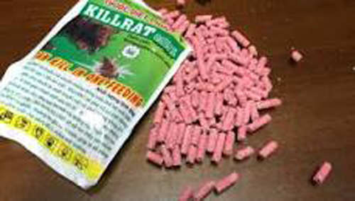 Ăn nhầm thuốc diệt chuột, hai cháu nhỏ thương vong