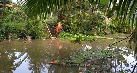 Phát hiện thi thể người đàn ông dưới lòng kênh