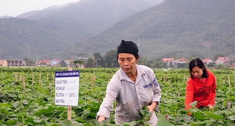 Thực thi quyền sở hữu trí tuệ là bảo vệ quyền lợi cho doanh nghiệp và cơ sở sản xuất kinh doanh