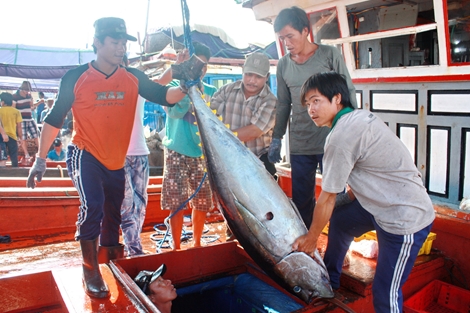 Các tỉnh Nam Trung bộ nỗ lực gỡ “thẻ vàng” thủy sản