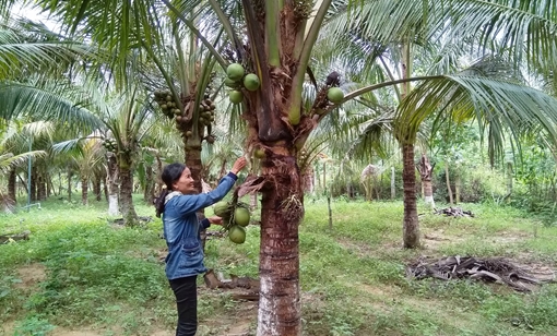 Về nơi 20 năm trước, trận "đại hồng thủy" càn qua
