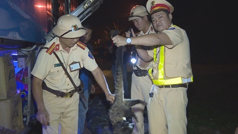 Những chiến sĩ Công an hết mình bảo vệ động vật hoang dã