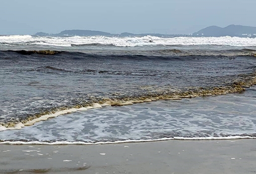 Tổng cục Môi trường quan trắc chất lượng nước và tảo ở vùng biển Quảng Ngãi