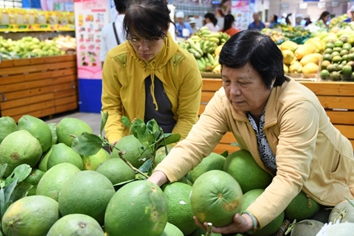 Xuất khẩu hoa quả sang Trung Quốc giảm mạnh