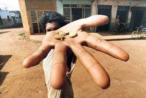 Cuộc đối đầu không khoan nhượng trong vùng Amazon