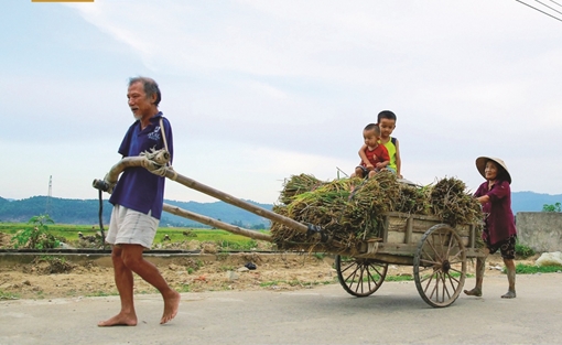 Gặp lại “chim cánh cụt” Hoa Xuân Tứ