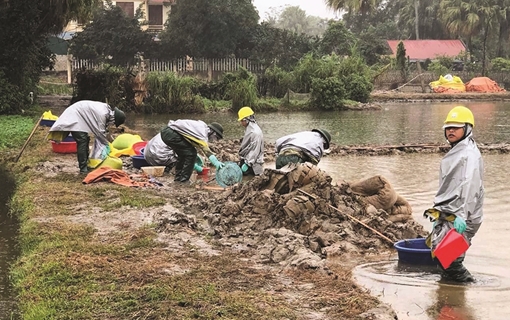 Những người chuyên giải cứu môi trường