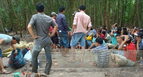 Triệt xóa các sòng bài, lộ ra kẽ hở quản lý