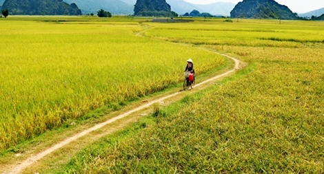 Những câu chuyện kể từ đất