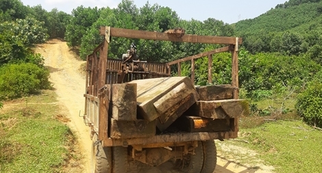 Trục vớt khối lượng lớn gỗ bị dìm dưới sông