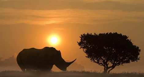 Những câu chuyện kể từ đất 