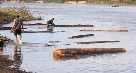 Liên tiếp phát hiện 3 vụ tàng trữ gỗ trái phép