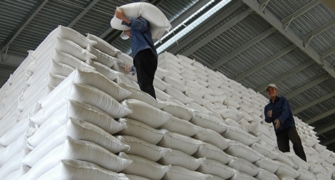 Sẽ xử lý những doanh nghiệp “xù”  hợp đồng đấu thầu gạo dự trữ quốc gia