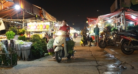 Chợ hoa Quảng An ế ẩm, thương lái mệt mỏi chờ đợi khách trong đêm