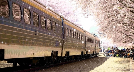 Hàn Quốc dành 500 giải thưởng để khích lệ du khách trong “mùa dịch”