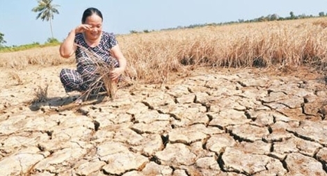 Đề xuất hỗ trợ các địa phương phòng chống hạn mặn, thiếu nước