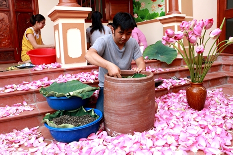 Chàng kỹ sư đổi nghề sau một lần nếm thử trà