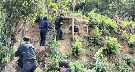 Cuộc truy lùng tù nhân trốn trại Triệu Quân Sự