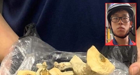 "Nấm thức thần" chứa chất ma túy lần đầu xuất hiện tại Hà Nội